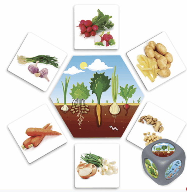 ¿DE DONDE VIENEN LOS ALIMENTOS? - Imagen 2